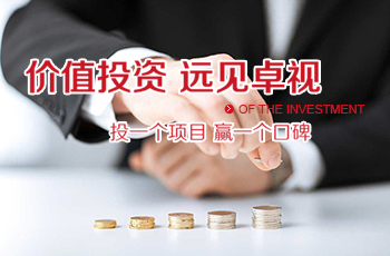 創(chuàng)新陽光投資網站案例